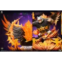 One Piece S-Bear SUPER HERO Studio