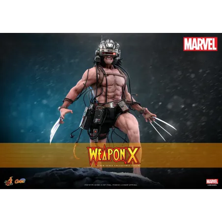 Marvel Weapon X Hot Toys