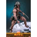 Marvel Weapon X Hot Toys