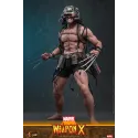 Marvel Weapon X Hot Toys
