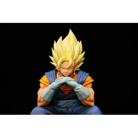 Dragon Ball Z Vegetto AG Studio
