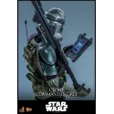 Star Wars: Revenge of the Sith Clone Commander Gree Hot Toys