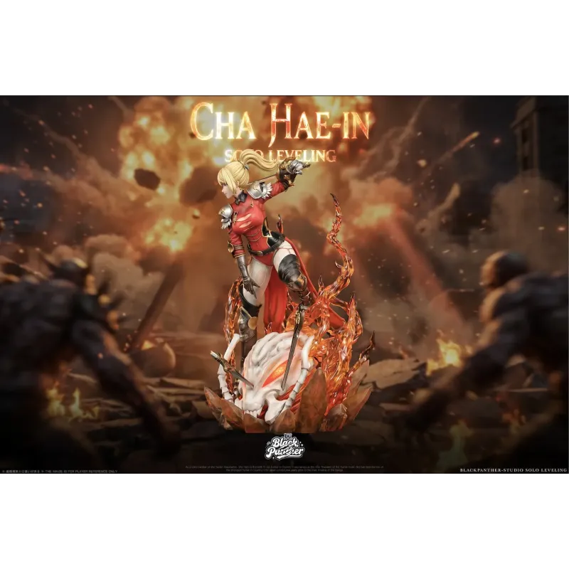 Solo Leveling Cha Hae In Black Panther Studio