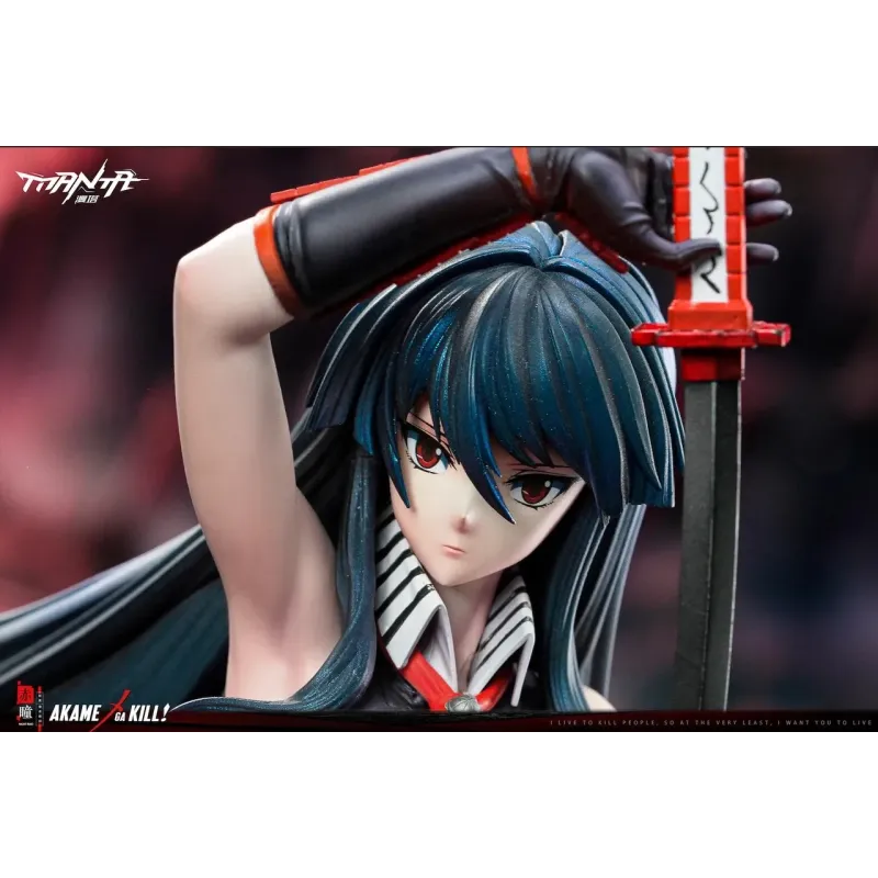 Akame Ga Kill! Akame Manta Studio