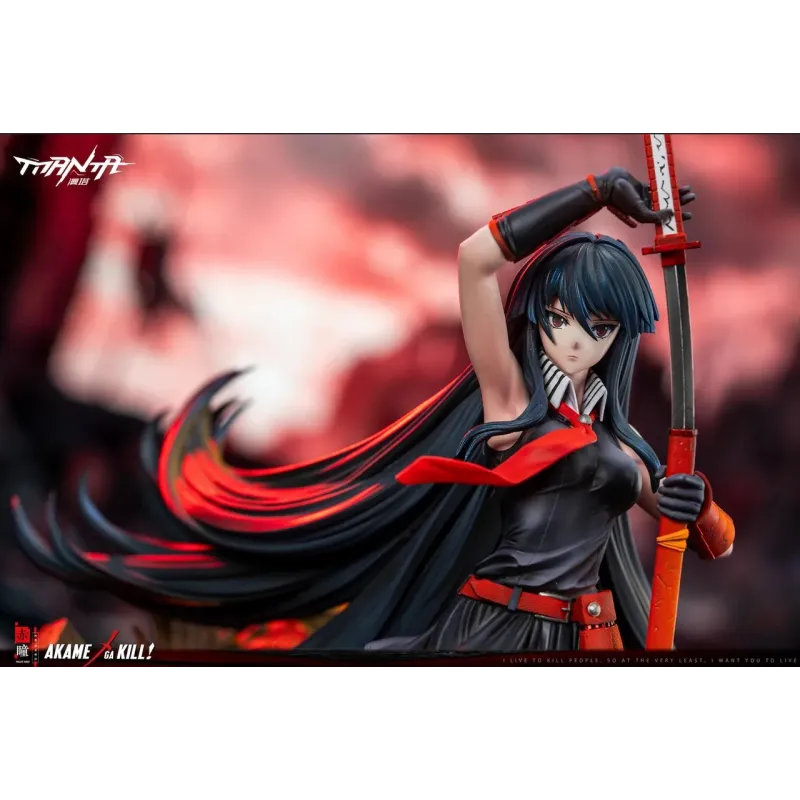 Akame Ga Kill! Akame Manta Studio