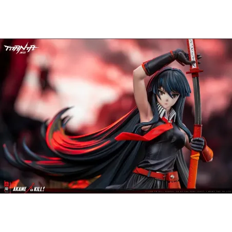 Akame Ga Kill! Akame Manta Studio