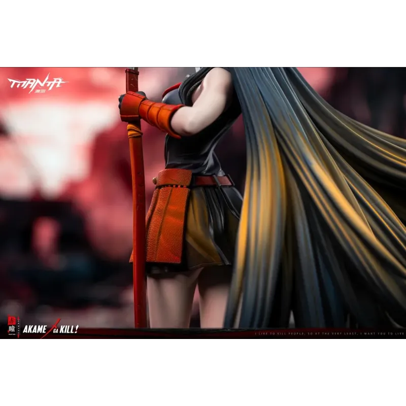 Akame Ga Kill! Akame Manta Studio