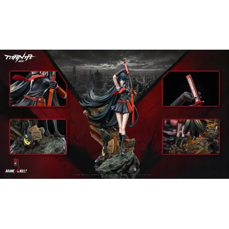 Akame Ga Kill! Akame Manta Studio