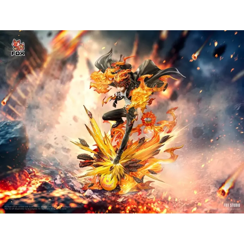 Katekyo Hitman Reborn Sawada Tsunayoshi Fox Studio