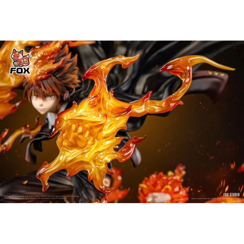 Katekyo Hitman Reborn Sawada Tsunayoshi Fox Studio