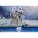 Star Wars: The Mandalorian & Grogu Imperial Remnant Snowtrooper Hot Toys