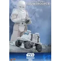 Star Wars: The Mandalorian & Grogu Imperial Remnant Snowtrooper Hot Toys