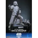 Star Wars: The Mandalorian & Grogu Imperial Remnant Snowtrooper Hot Toys