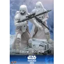 Star Wars: The Mandalorian & Grogu Imperial Remnant Snowtrooper Hot Toys