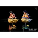 Dragon Ball Z Goku & Chichi PL Studio