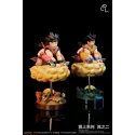 Dragon Ball Z Goku & Chichi PL Studio