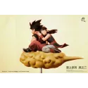 Dragon Ball Z Goku & Chichi PL Studio