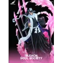 Bleach Kuchiki Byakuya Time Studio