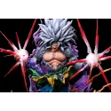 Dragon Ball Goku SSJ5 Iron Curtain