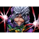 Dragon Ball Goku SSJ5 Iron Curtain