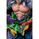 Dragon Ball Goku SSJ5 Iron Curtain