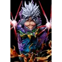 Dragon Ball Goku SSJ5 Iron Curtain
