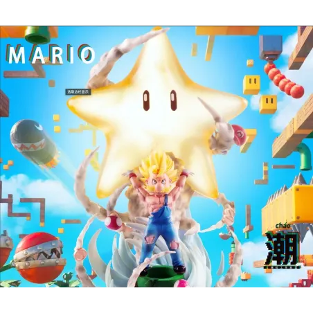 Super Mario Spirit Bomb Chao She Studio