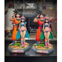 Dragon Ball Z Goku & Chichi Sky End Studio