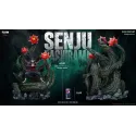Naruto Shippuden Hashirama Senju FLOW Sudio