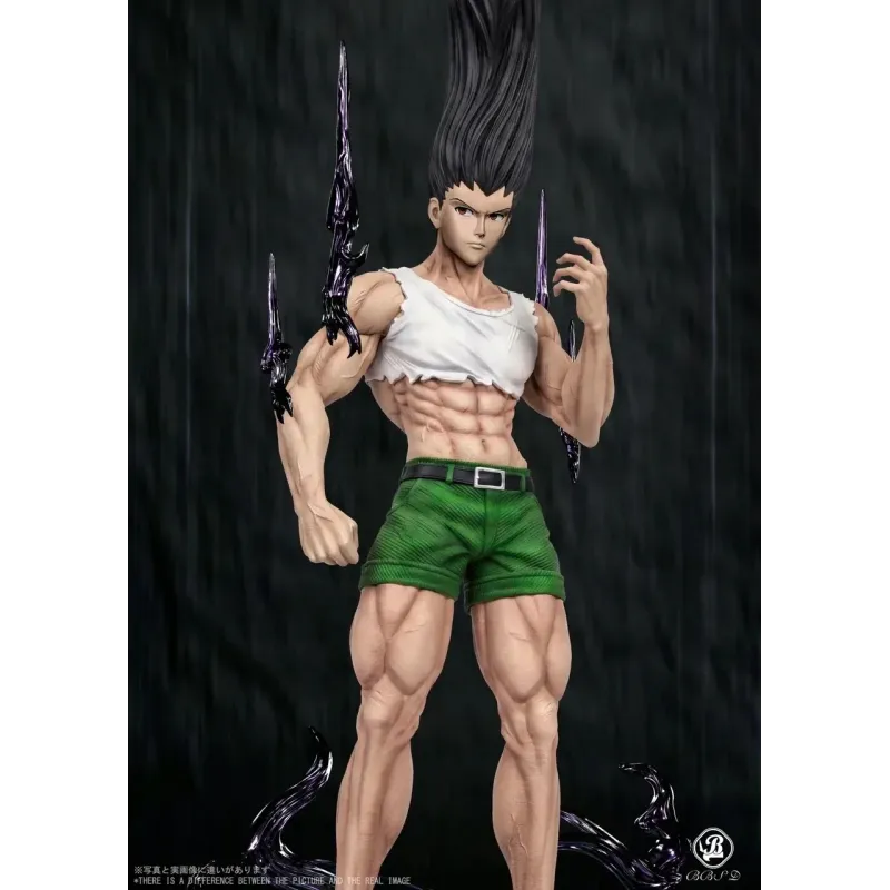 Hunter x Hunter Dark Gon Freecss BBSD Studio