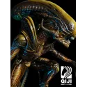 Alien QiJi Studio