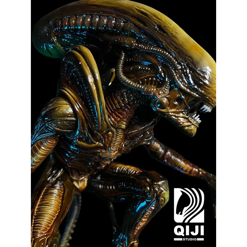 Alien QiJi Studio