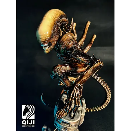 Alien QiJi Studio