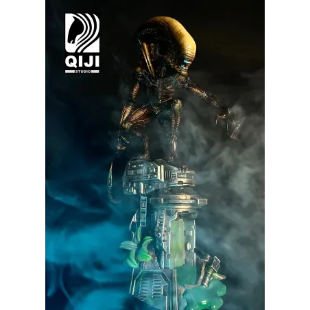 Alien QiJi Studio
