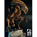 Alien QiJi Studio