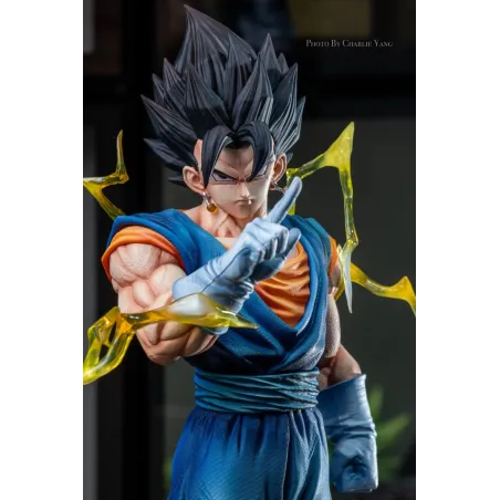 Dragon Ball Z Vegetto KAW Studio