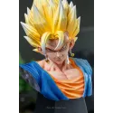 Dragon Ball Z Vegetto KAW Studio