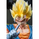 Dragon Ball Z Vegetto KAW Studio