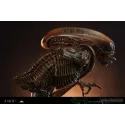 Alien 3 Alien Dog Bust Deepmyth Studio