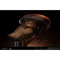 Alien 3 Alien Dog Bust Deepmyth Studio