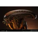 Alien 3 Alien Dog Bust Deepmyth Studio