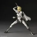 CLAYMORE Clare X Teresa of the Faint Smile Revoltech Kaiyodo