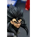 Dragon Ball Heroes Vegetto SSJ4 XG Studio