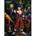 Dragon Ball Heroes Vegetto SSJ4 XG Studio