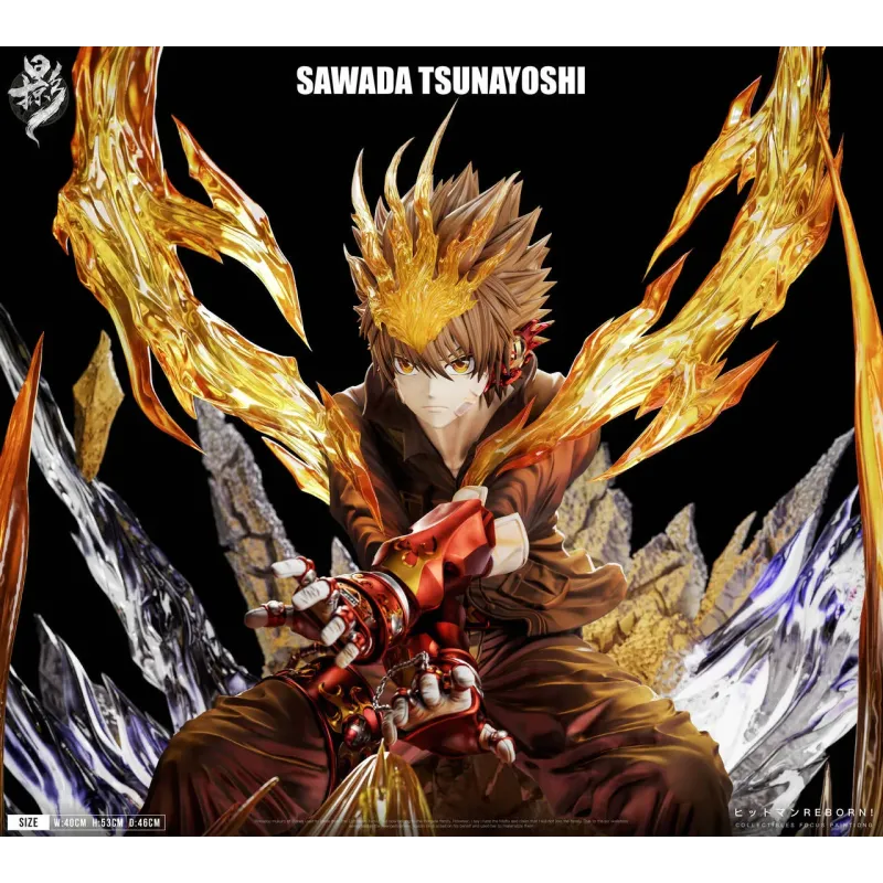 Katekyo Hitman Reborn Sawada Tsunayoshi LueYing Studio