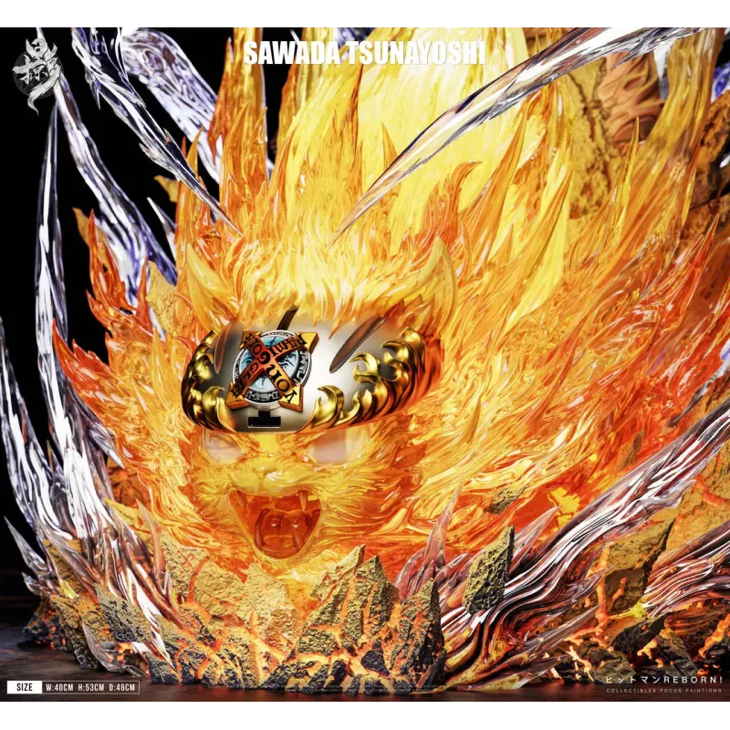 Katekyo Hitman Reborn Sawada Tsunayoshi LueYing Studio