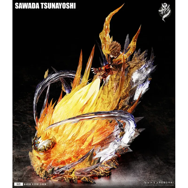 Katekyo Hitman Reborn Sawada Tsunayoshi LueYing Studio
