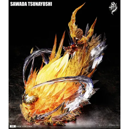 Katekyo Hitman Reborn Sawada Tsunayoshi LueYing Studio