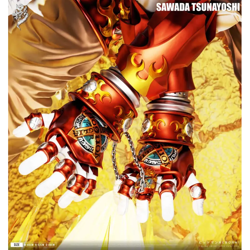 Katekyo Hitman Reborn Sawada Tsunayoshi LueYing Studio