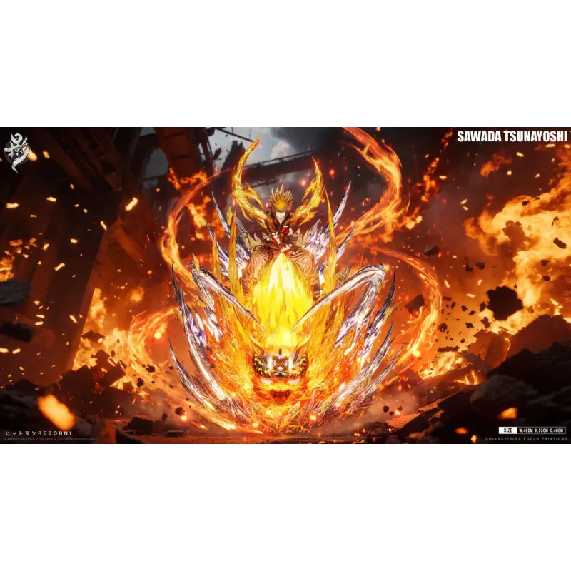 Katekyo Hitman Reborn Sawada Tsunayoshi LueYing Studio